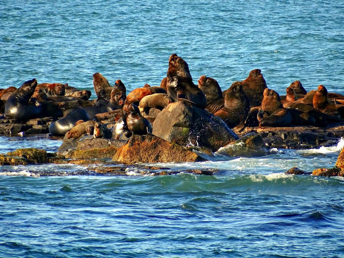 Pousada Recanto Da Prainha Torres Zewnętrze zdjęcie